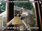 funny-pictures-cat-gets-rid-of-dog-with-catapult1